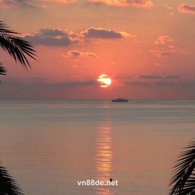Ảnh đại diện người dùng Hoàng Vũ